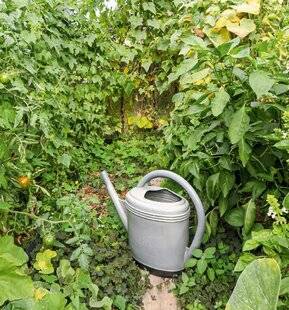 Hors-Séries 250 Pas une goutte de perdue