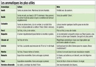 Hors-Séries 250 Les aromatiques