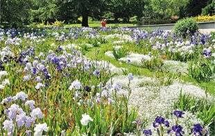 Hors-Séries 250 7 étapes incontournables