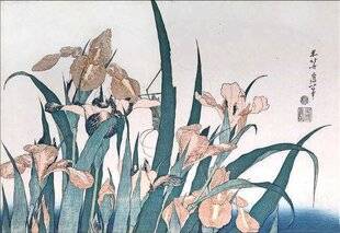 Hors-Séries 250 Les iris chez Hokusai et Van Gogh