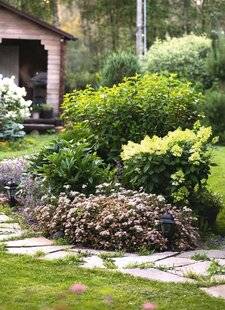 Hors-Séries 251 CRÉER UN JARDIN MOINS ALLERGISANT : LES PLANTES ENTOMOPHILES