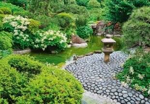 Hors-Séries 251 POURQUOI UN JARDIN JAPONAIS PEUT ÊTRE UNE SOLUTION