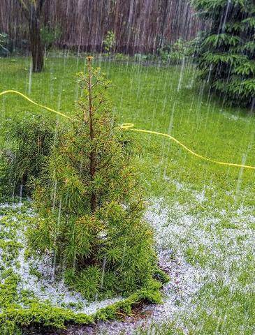 Hors-Séries 252 SURVIVRE AUX INONDATIONS