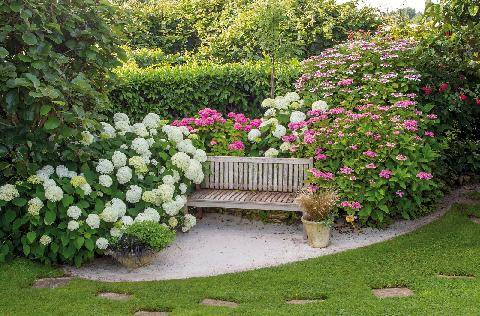 Hors-Séries 253 Zéro vis-à-vis NOS SOLUTIONS POUR UN JARDIN À L’ABRI