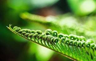 L'Ami des Jardins 1101 Lentement se déroule le temps…