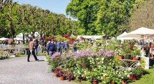 L'Ami des Jardins 1101 SAINT-JEAN-DE-BEAUREGARD FÊTE SES 35 ANS