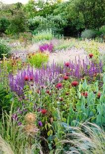 L'Ami des Jardins 1101 VIVACES, HISSEZ LES COULEURS !
