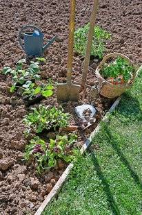 L'Ami des Jardins 1101 En avril, on s'active au potager