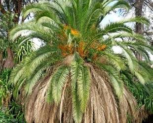 L'Ami des Jardins 1101 C'EST MAINTENANT DANS NOS RÉGIONS