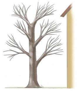 L'Ami des Jardins 1101 “Démonter” un arbre