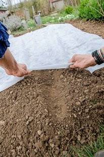 L'Ami des Jardins 1101 DES SEMIS À RÉCHAUFFER ET PROTÉGER