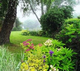 L'Ami des Jardins 1101 VOS PLUS BEAUX JARDINS