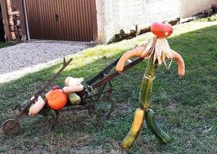 L'Ami des Jardins 1101 LE JARDINIER S'AMUSE
