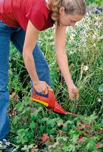 L'Ami des Jardins 1102 RASAGE DE PRINTEMPS POUR LES VIVACES