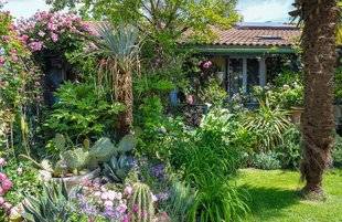 L'Ami des Jardins 1102 BIENVENUE AU CLOS FLEURI