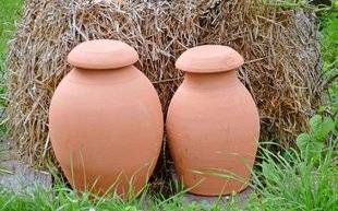 L'Ami des Jardins 1102 Oyas et Cucurbitacées font bon ménage