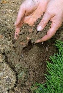 L'Ami des Jardins 1102 LE TÉTANOS, UN ENNEMI INVISIBLE