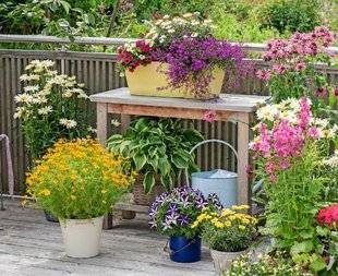 L'Ami des Jardins 1102 POURQUOI LE SUCCÈS DES BEAUX BALCONS ?
