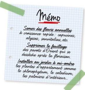 L'Ami des Jardins 1102 Mémo