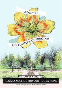 L'Ami des Jardins 1103 MÉCÉNAT VÉGÉTAL