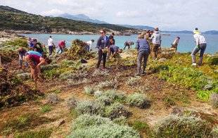 L'Ami des Jardins 1103 L'île retrouvera sa beauté