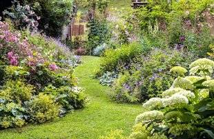 L'Ami des Jardins 1103 PAR AMOUR DES ROSES