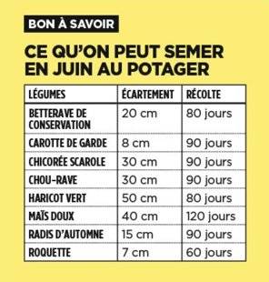 L'Ami des Jardins 1103 RATTRAPER LES RATÉS AU POTAGER