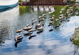 L'Ami des Jardins 1103 Un jardin très animé