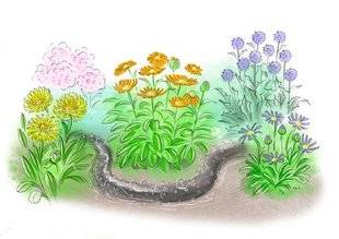L'Ami des Jardins 1103 Arroser sans abîmer la végétation