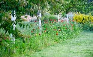 L'Ami des Jardins 1103 Protection des troncs anticoups de fil