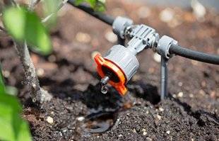 L'Ami des Jardins 1103 UN ARROSAGE GOUTTE À GOUTTE