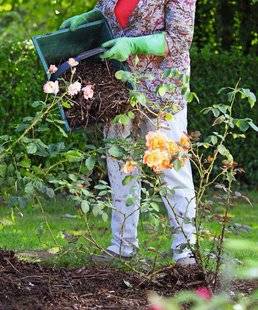 L'Ami des Jardins 1103 Jardin, comment lui faire passer l'été ?