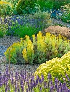 L'Ami des Jardins 1104 Comment passer l'été sans souci !