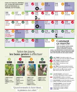 L'Ami des Jardins 1104 JARDINER AVEC LA LUNE