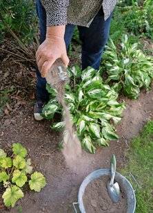 L'Ami des Jardins 1104 Sus aux limaces !