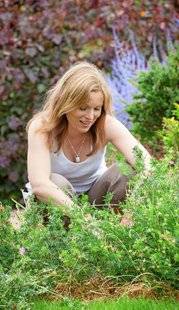 L'Ami des Jardins 1104 UN COUP DE FOUET POUR LES GÉRANIUMS
