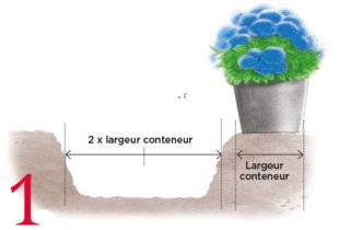 L'Ami des Jardins 1104 Planter un très gros hortensia