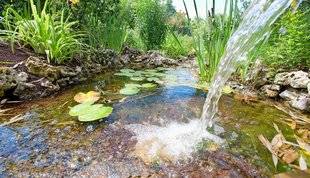 L'Ami des Jardins 1104 OXYGÉNER ET ÉVAPORER