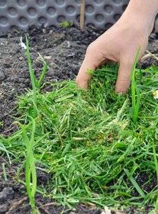L'Ami des Jardins 1104 C'est quoi, la faim d'azote ?