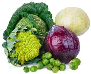 L'Ami des Jardins 1104 Brassicacées