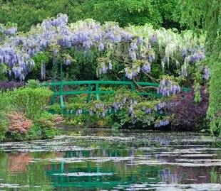 L'Ami des Jardins 1104 Un jardin pour modèle