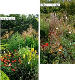 L'Ami des Jardins 1104 Une scène flamboyante