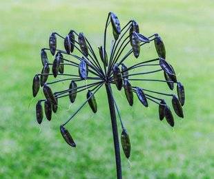 L'Ami des Jardins 1104 Comment multiplier les agapanthes ?