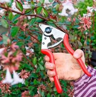 L'Ami des Jardins 1105 UN PEU PLUS COMPLIQUÉ, ÇA VAUT LE COUP D'ESSAYER !