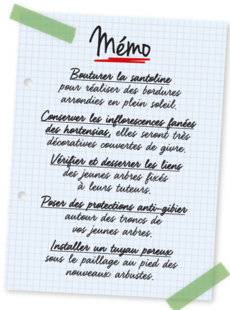 L'Ami des Jardins 1105 Mémo