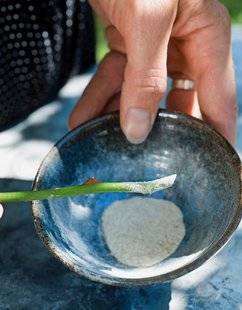 L'Ami des Jardins 1105 NOS CONSEILS & ASTUCES