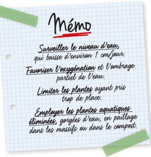 L'Ami des Jardins 1105 Mémo