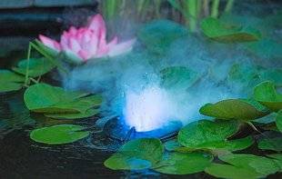 L'Ami des Jardins 1105 Un éclairage à flotteur et à vapeur !