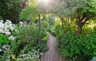 L'Ami des Jardins 1105 Le petit monde de Victor