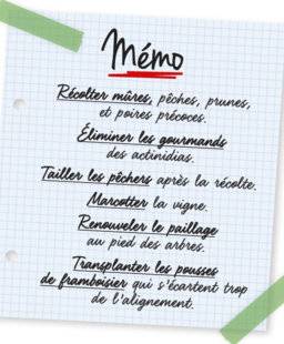 L'Ami des Jardins 1105 Mémo